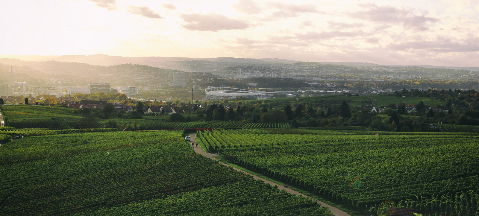 Ein weites Panorama zeigt grüne Weinberge, die sich sanft über Hügel erstrecken. Im Hintergrund ist eine Stadt mit modernen Gebäuden und einem großen Stadion zu sehen. Die Sonne geht hinter den Hügeln unter und taucht den Himmel in warme, goldene Töne. Ein Weg schlängelt sich durch die Weinberge, und ein paar Menschen sind zu sehen, die entlang des Weges gehen.