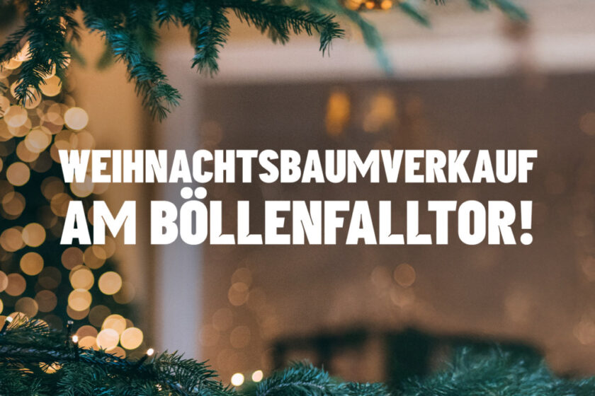 Weihnachtsbaumverkauf am Böllenfalltor mit festlicher Beleuchtung und Tannenzweigen im Vordergrund.