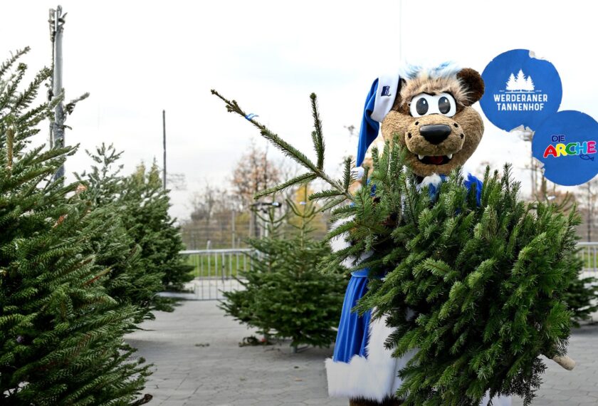 Ein Maskottchen in einem blauen und weißen Kostüm steht zwischen mehreren Tannenbäumen und hält einen der Bäume fest. Im Hintergrund sind weitere Tannenbäume zu sehen. Das Maskottchen trägt ein Schild mit der Aufschrift "Werderaner Tannenhof" und "Die ARCHE".