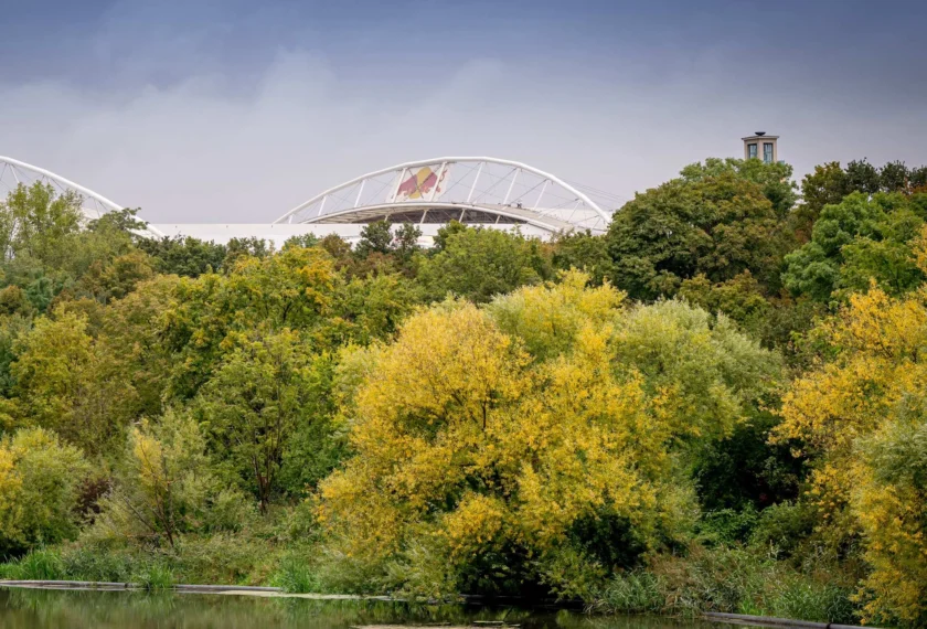 Ein Fußballstadion mit einem durchsichtigen Dach, umgeben von einem See und üppiger Vegetation mit Bäumen in verschiedenen Herbstfarben.