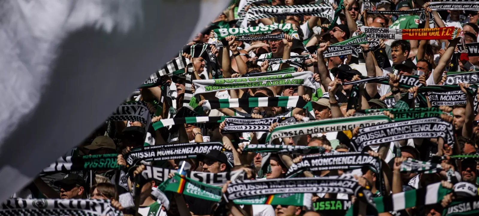 Eine große Gruppe von Fußballfans, die die Farben und Symbole von Borussia Mönchengladbach tragen, feiern und unterstützen ihr Team während eines Spiels. Die Fans halten Schals und Banner mit dem Vereinsnamen und Motiven hoch.