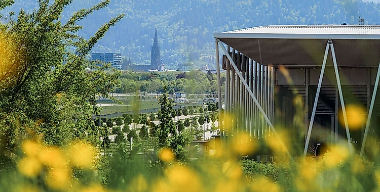 Ein modernes Stadiongebäude mit einer grünen Landschaft im Vordergrund, die mit gelben Blumen übersät ist. Im Hintergrund sind Berge und eine Stadt mit einem markanten Kirchturm zu sehen.