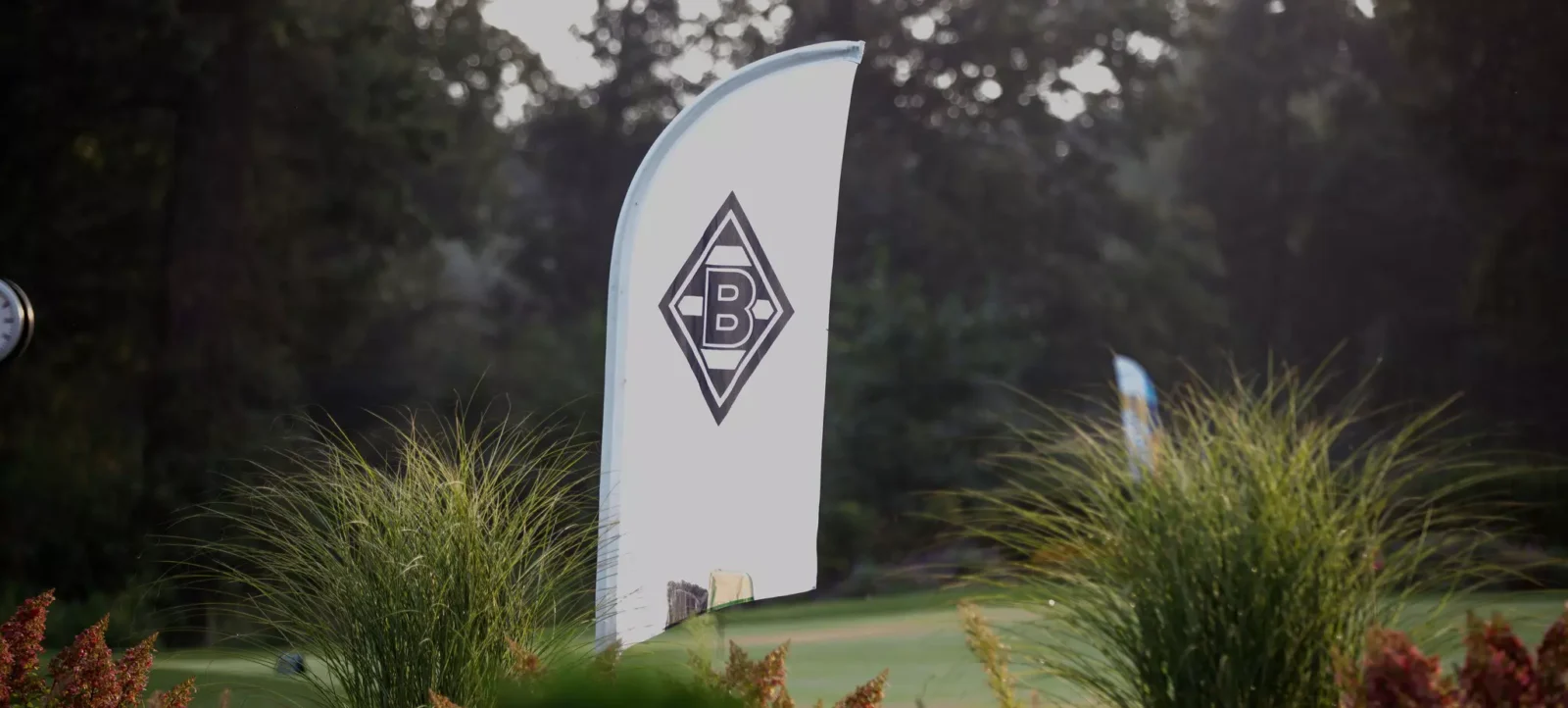 Ein weißes Flaggenbanner mit dem Logo des Fußballvereins Borussia Dortmund steht auf einem Rasenbereich mit hohen Gräsern und Sträuchern im Hintergrund.