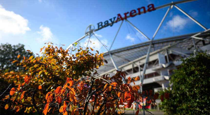 BayArena des Bayer 04 Leverkusen im Herbst, mit herbstlichen Blättern im Vordergrund und klarem Himmel.