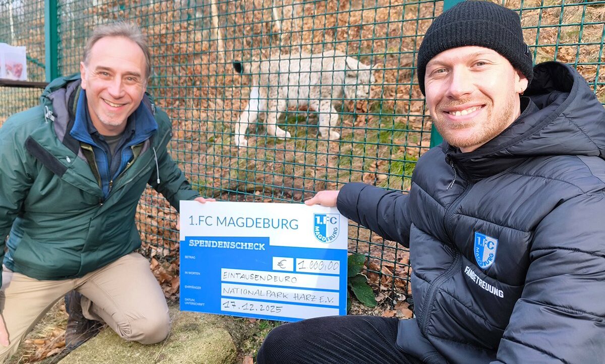 Zwei Männer halten einen Scheck des 1. FC Magdeburg über 1.000,00 Euro für das Luchsprojekt im Nationalpark Harz. Die Männer lächeln und sind vor einem Gehege mit Luchsen zu sehen.